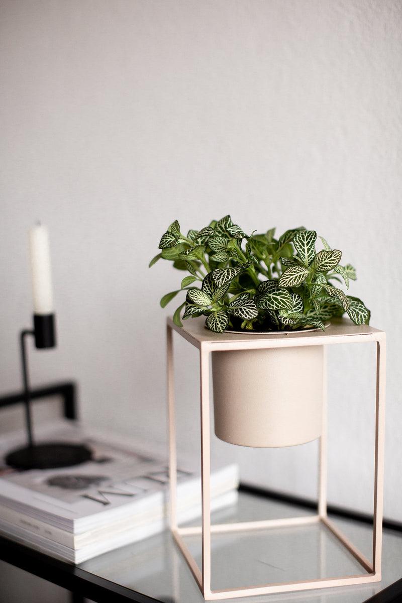 LaLe Living Blumentopf Lida aus Eisen in Olive, Ø16 cm Fabrikverkauf