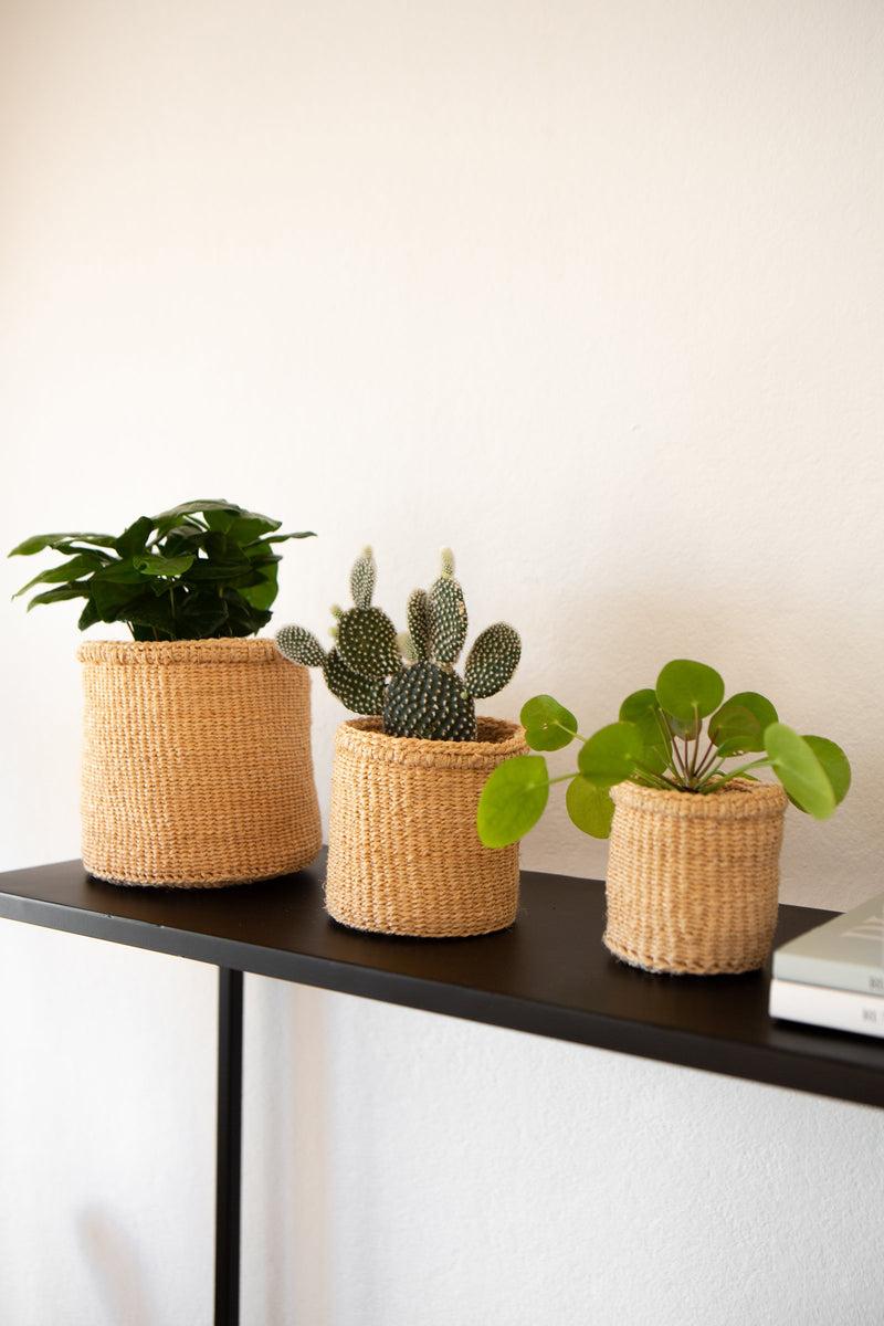 LaLe Living 3er Korbset Elani in Natur aus Sisal Günstiger Verkauf