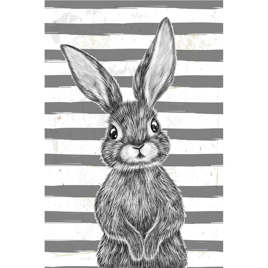 Queen Kerosin Blechschild - Black Rabbit with stripes Online