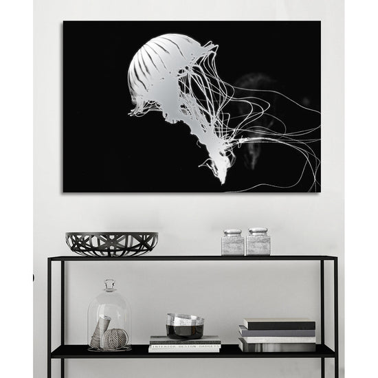 Queen Kerosin Aluminiumbild - Jelly Fish Black Verkauf
