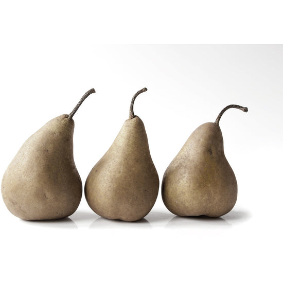 Queen Kerosin Magnetisches Markerboard - Pear im Angebot
