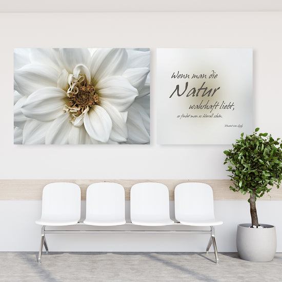 Queen Kerosin Leinwandbild - Natur wahrhaft lieben Outlet