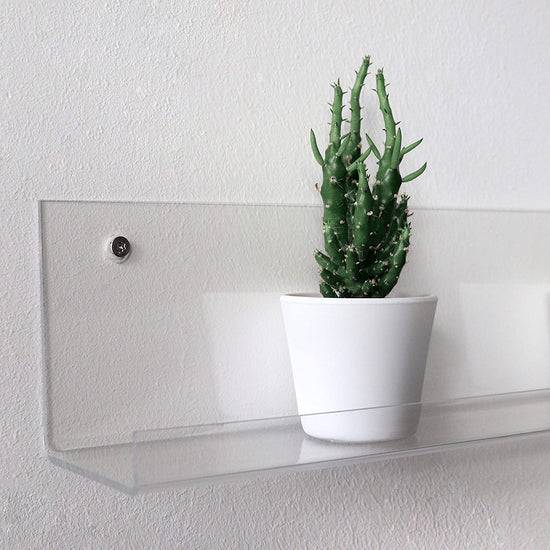 Queen Kerosin Galerieboard - Amazing Angebote