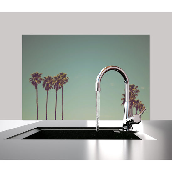 Queen Kerosin Spritzschutz - Palms Hotsell