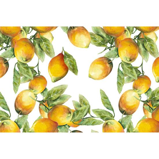 Queen Kerosin Spritzschutz - Lemons
