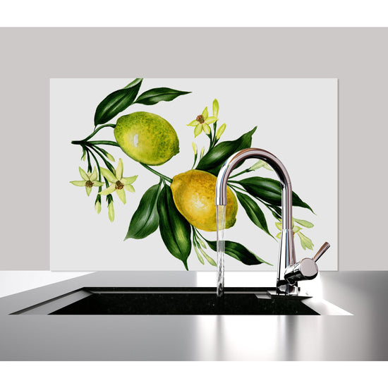 Queen Kerosin Spritzschutz - Lemontree Günstiger Verkauf