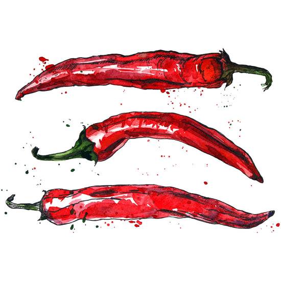 Queen Kerosin Spritzschutz - Chillies