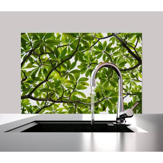 Queen Kerosin Spritzschutz - Green Tree Meist gekauft