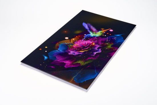 Queen Kerosin Acrylglasbild - Hibiskus Kolibri Riesige Rabatte