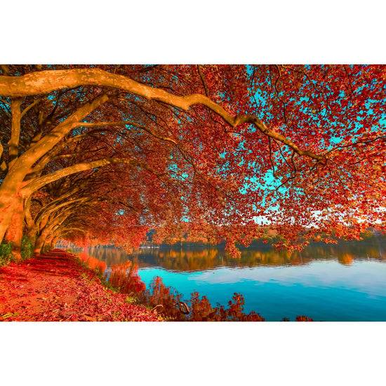 Queen Kerosin Acrylglasbild - Platanenallee am Baldeneysee I Cyber Monday