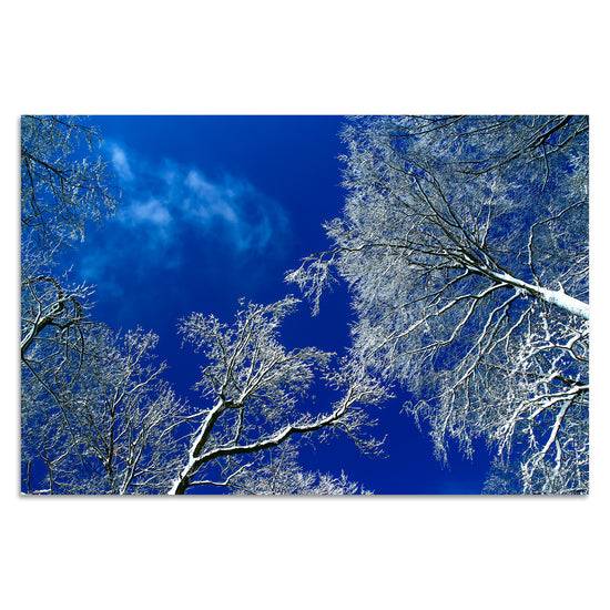 Queen Kerosin Winterwunderland von Torsten Reuter Bis zu 55% Rabatt
