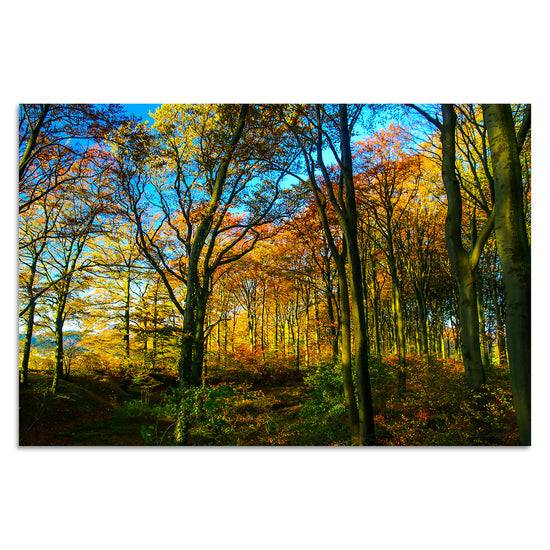 Queen Kerosin Herbstwald von Torsten Reuter