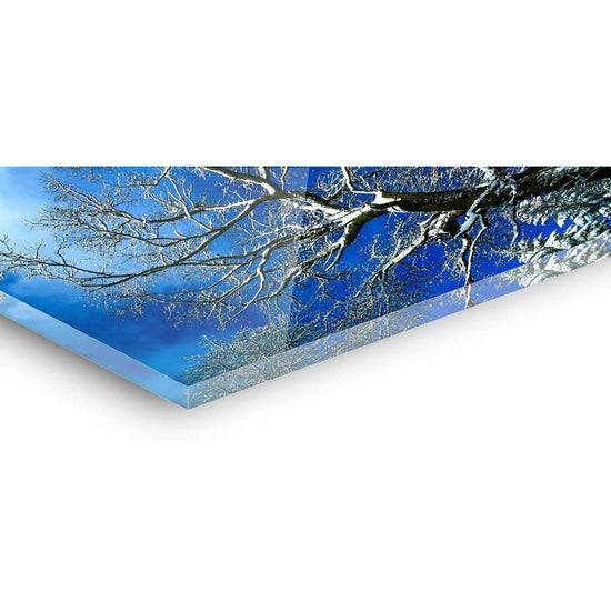 Queen Kerosin Acrylglasbild - Calico Zeitlich begrenztes Angebot