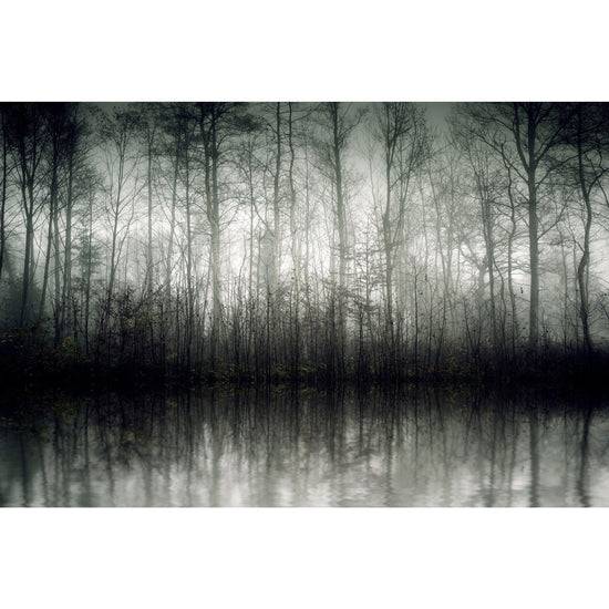 Queen Kerosin Akustikbild - Der Nebel Riesige Ersparnisse