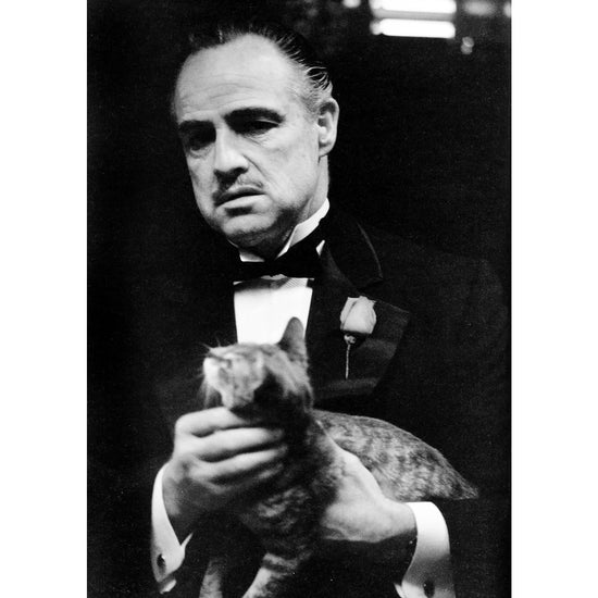 Queen Kerosin Acrylglasbild - The Godfather - Marlon Brando Bis zu 55% Rabatt