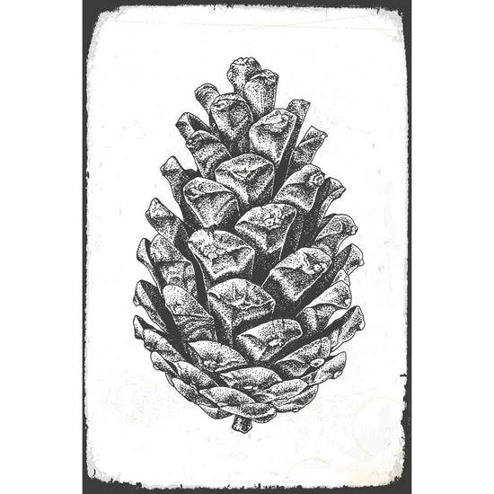 Queen Kerosin Blechschild - Pinecone Günstig kaufen