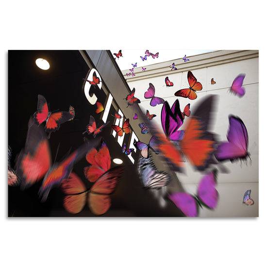 Queen Kerosin Acrylglasbild - Butterflies Deluxe Neueste Mode