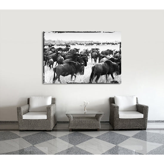 Queen Kerosin Acrylglasbild - Bisons Migrate Kauf eins, bekomm eins gratis