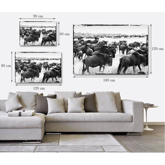 Queen Kerosin Acrylglasbild - Bisons Migrate Kauf eins, bekomm eins gratis