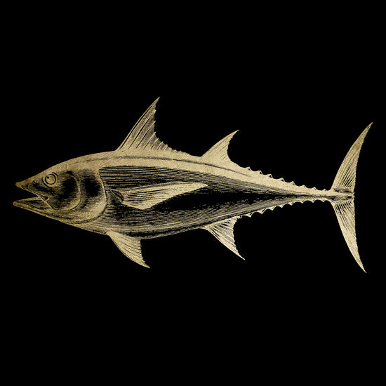 Queen Kerosin Blattgold Bild - Fish Online Outlet