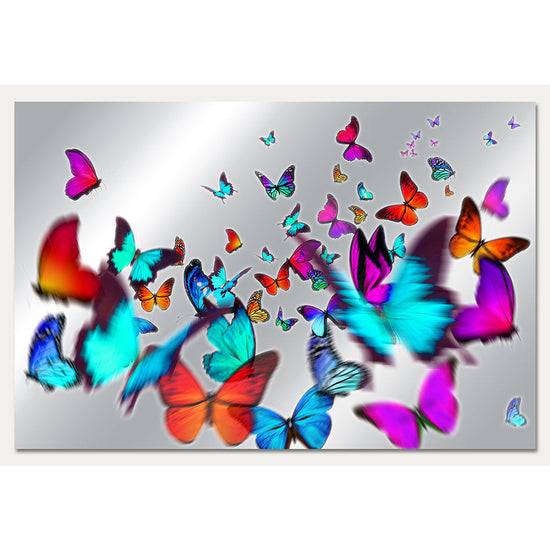 Queen Kerosin Aluminiumbild - Colorful Butterflies Osterangebot