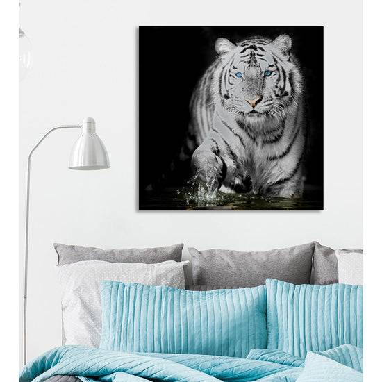 Queen Kerosin Aluminiumbild - Blue Eyed Tiger Vatertagsangebot