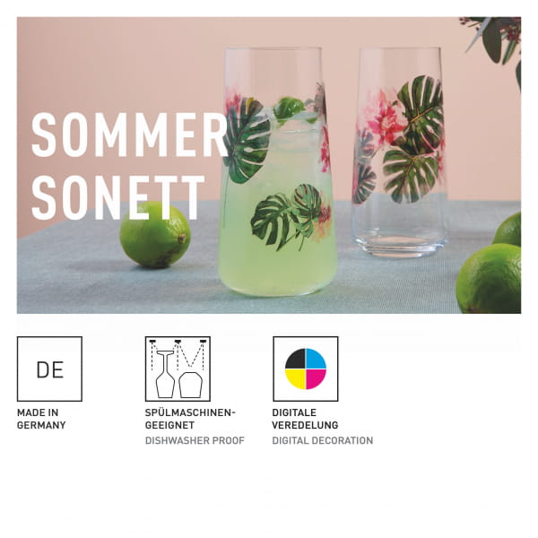 Ritzenhoff Sommersonett UNIVERSALGLAS-SET F24 Verkauf