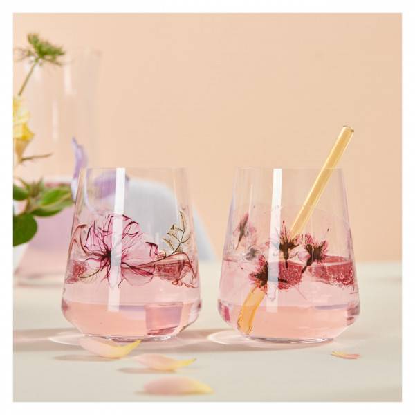 Ritzenhoff Sommersonett UNIVERSALGLAS-SET #1, #2 VON DORO VON RÜDEN UND SONJA EIKLER Meist gekauft