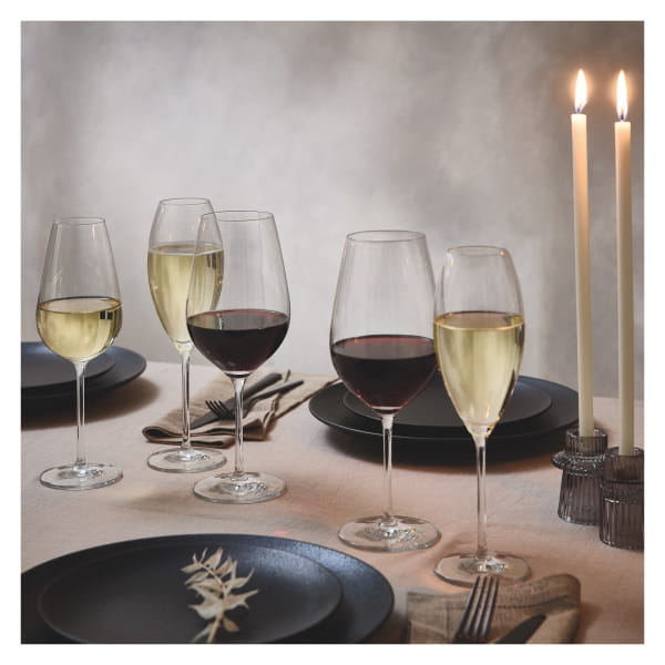 Ritzenhoff Glanzlicht WEIN- UND CHAMPAGNERGLAS-SET H24 Angebote