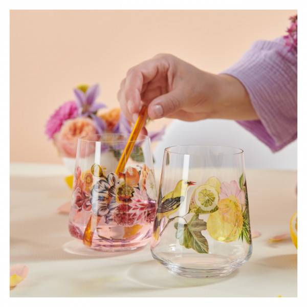 Ritzenhoff Sommertau UNIVERSALGLAS-SET #1, #2 Angebote