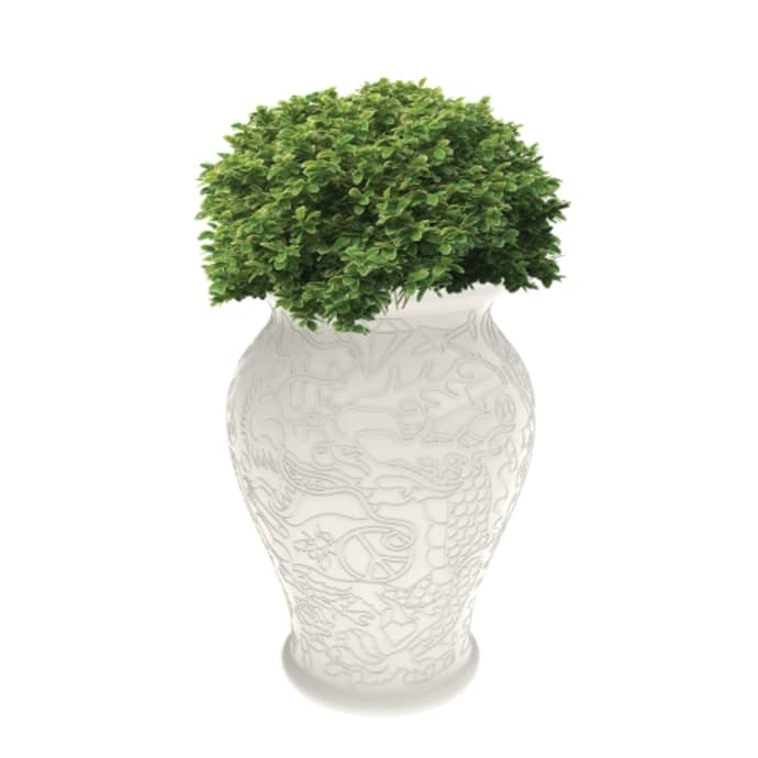 S.Luce Qeeboo Ming Blumentopf oder Hocker Akku-LED Online