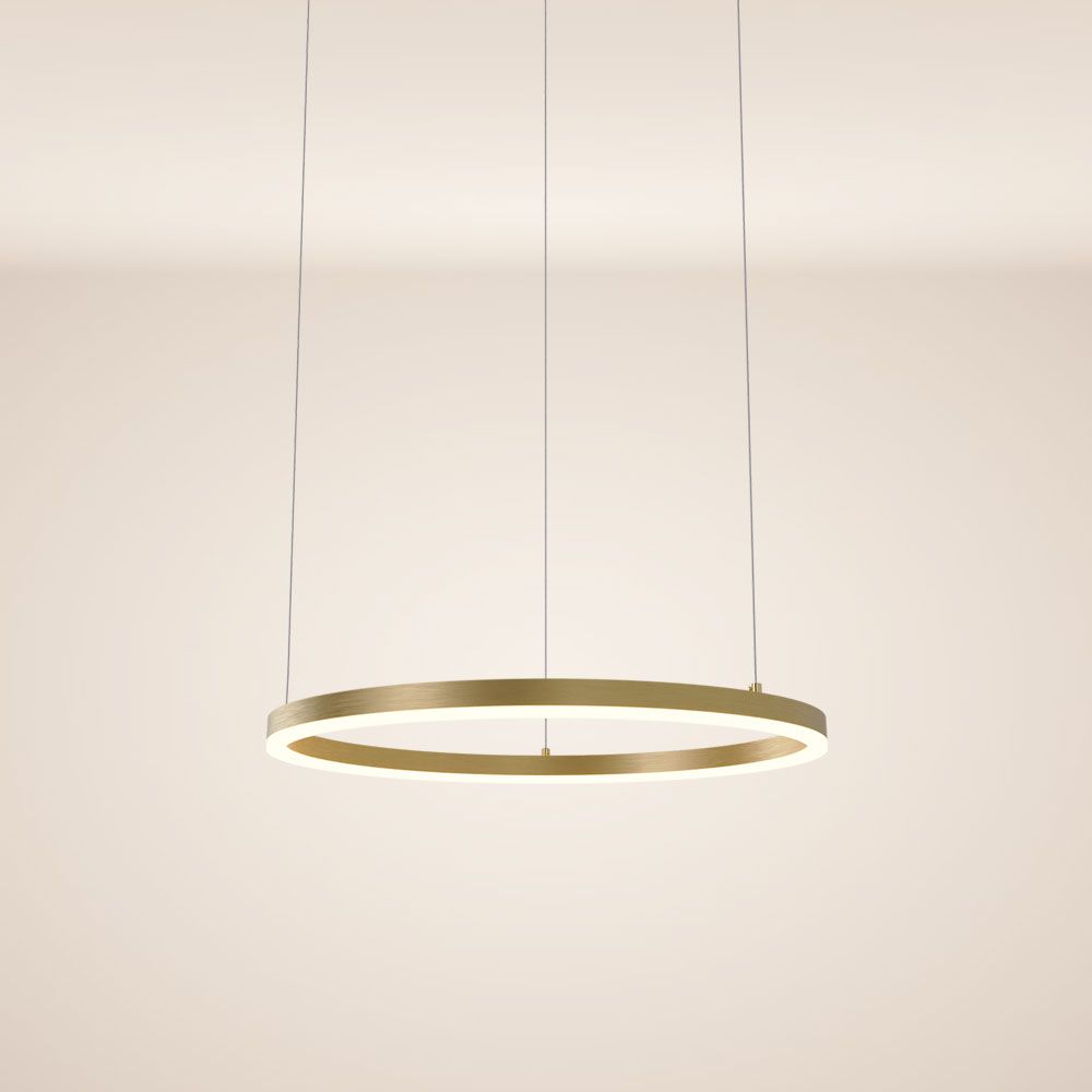 S.Luce s.luce Ring 60 LED-Hängeleuchte Direkt 5m Online