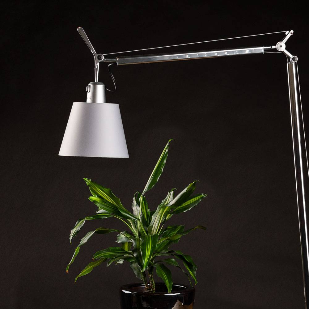 S.Luce Artemide Tolomeo Lettura Basculante Stehleuchte im Angebot