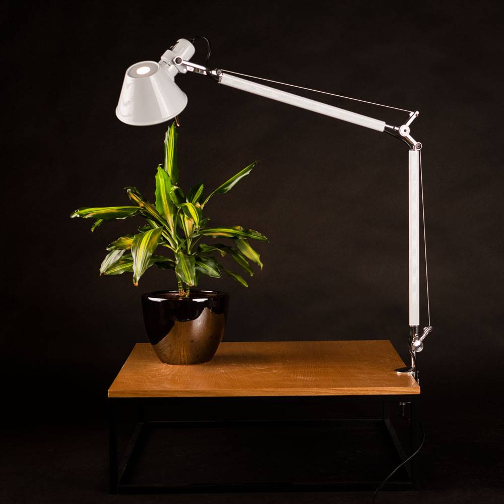 S.Luce Artemide Tolomeo Tavolo Tischleuchte