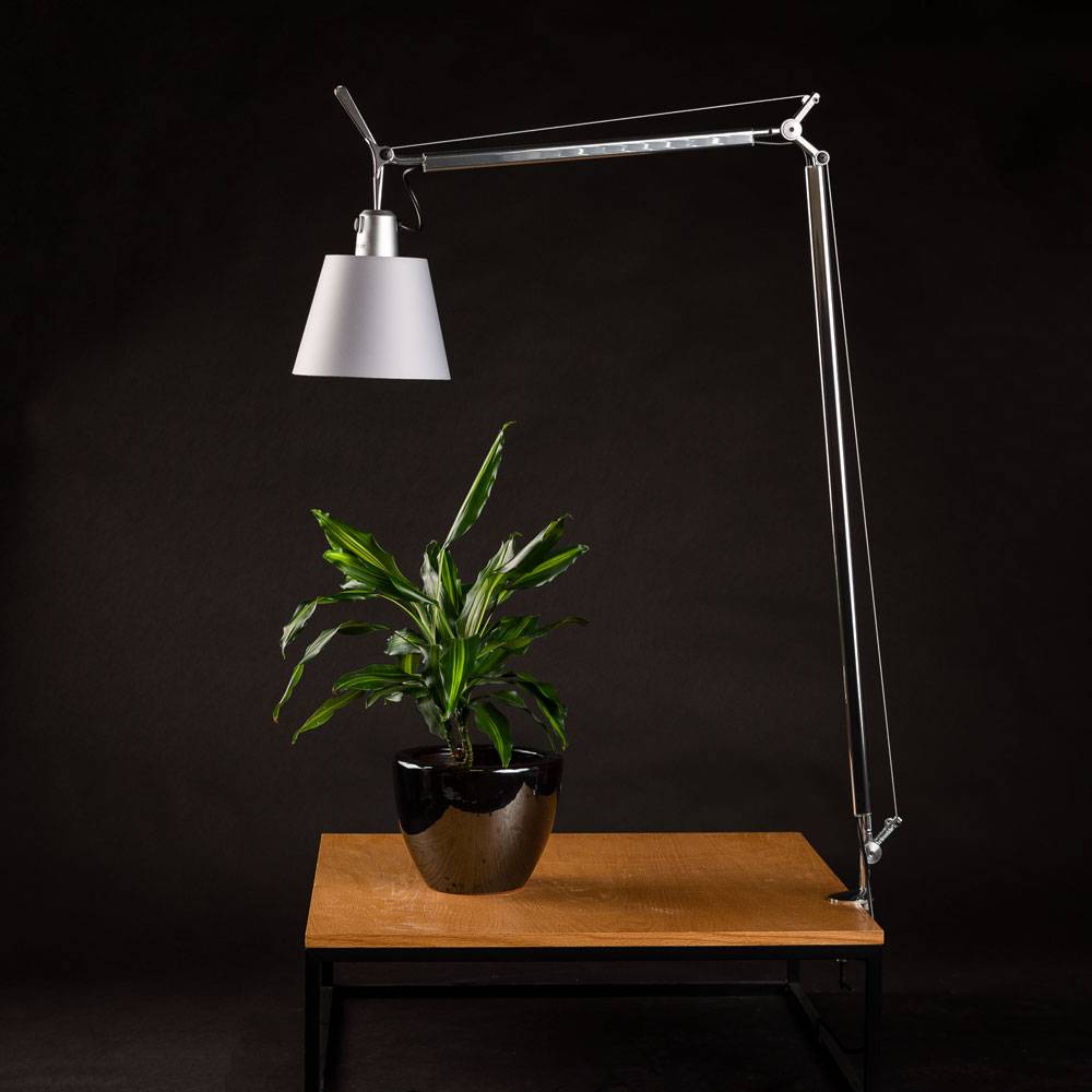 S.Luce Artemide Tolomeo Basculante Tischlampe Ø 18cm Pergament Wochenangebot