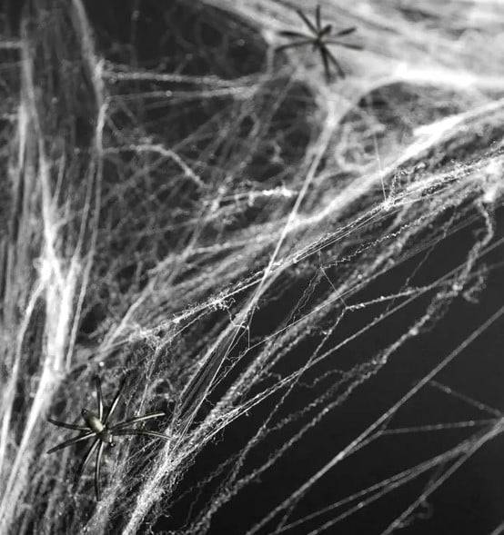 Schöner Leben Halloween Spinnennetz in Weiß 60g mit zwei Spinnen