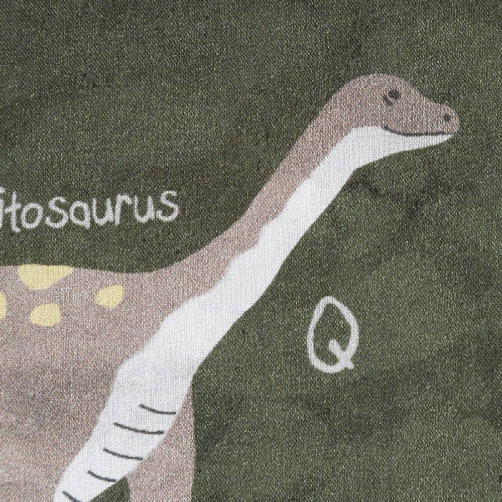 Schöner Leben Baumwollstoff Popeline Fine Poplin Digitaldruck Dinosaurier mit Namen grün bunt 1,45m Breite Fabrikverkauf