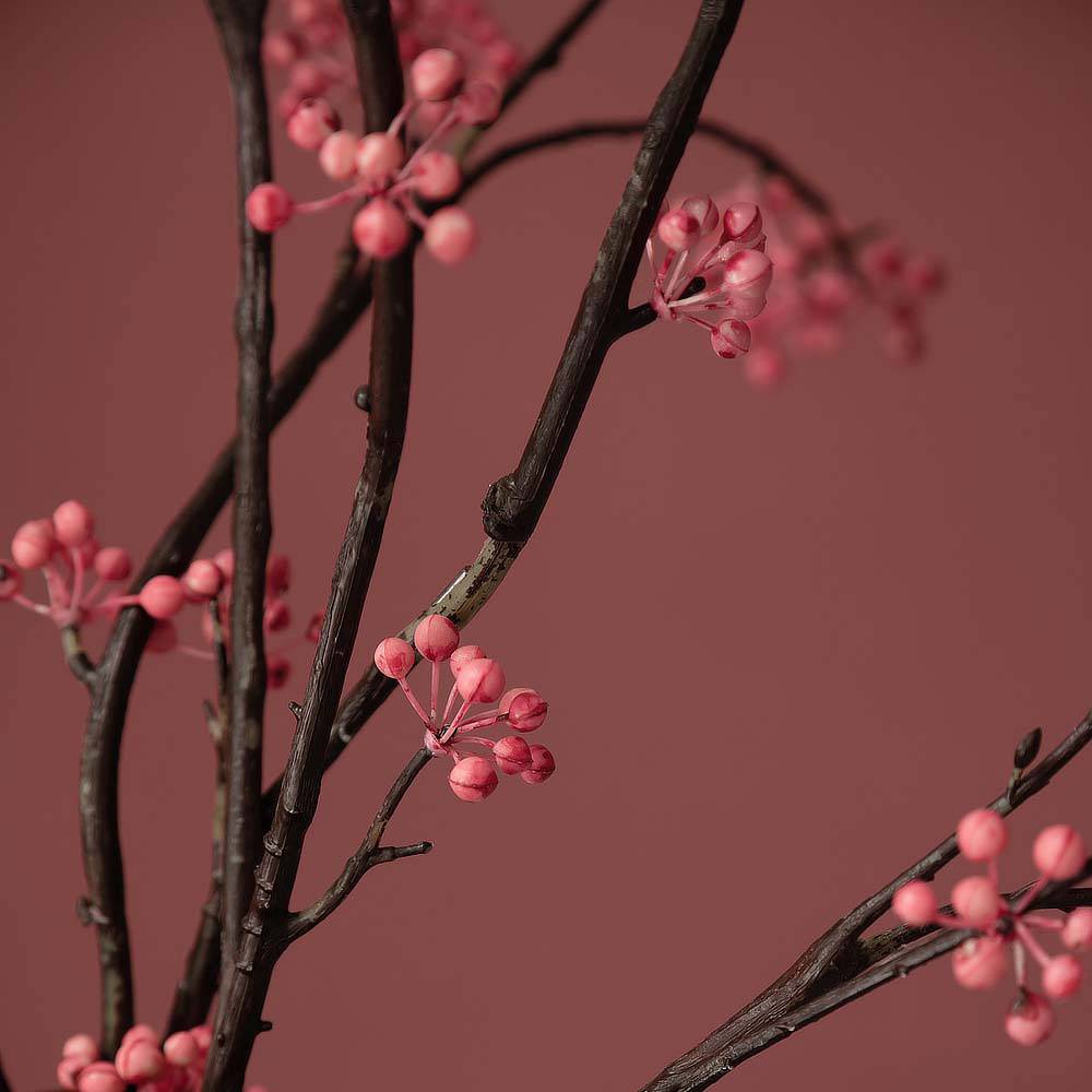 Schöner Wohnen Kollektion Designfarbe Englisches Rosenrot 50% Rabatt mit kostenlosem Versand