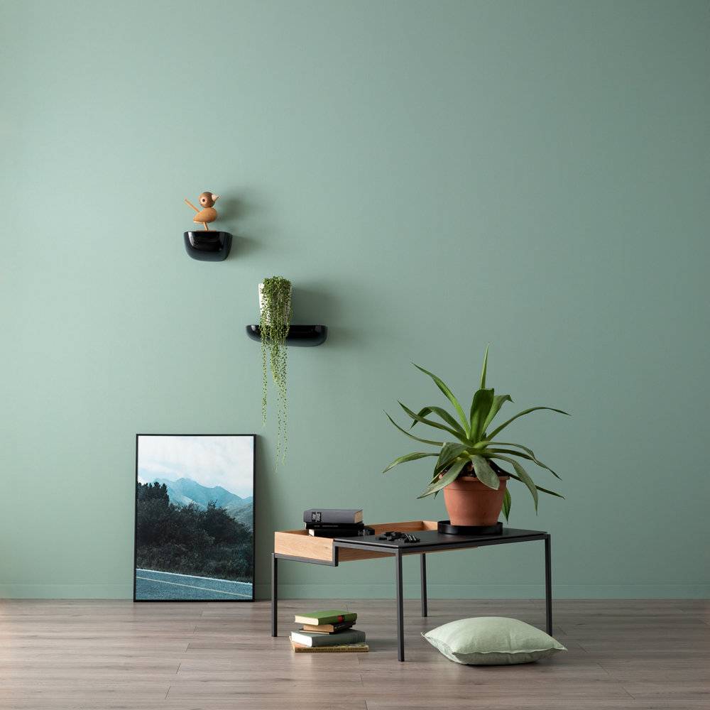 Schöner Wohnen Kollektion Designfarbe Erhabenes Agavengrün Kostenloser Versand international