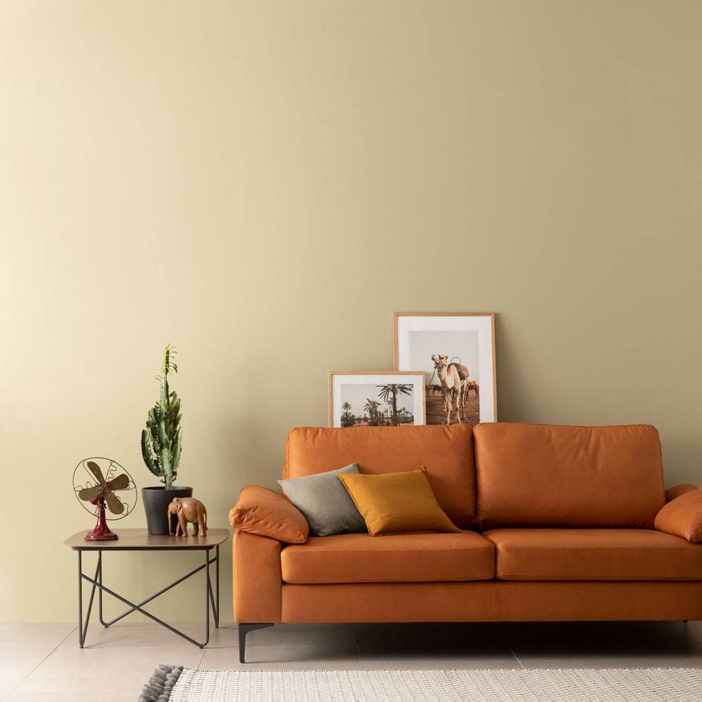 Schöner Wohnen Kollektion Designfarbe Verträumtes Wüstenbeige Auslauf