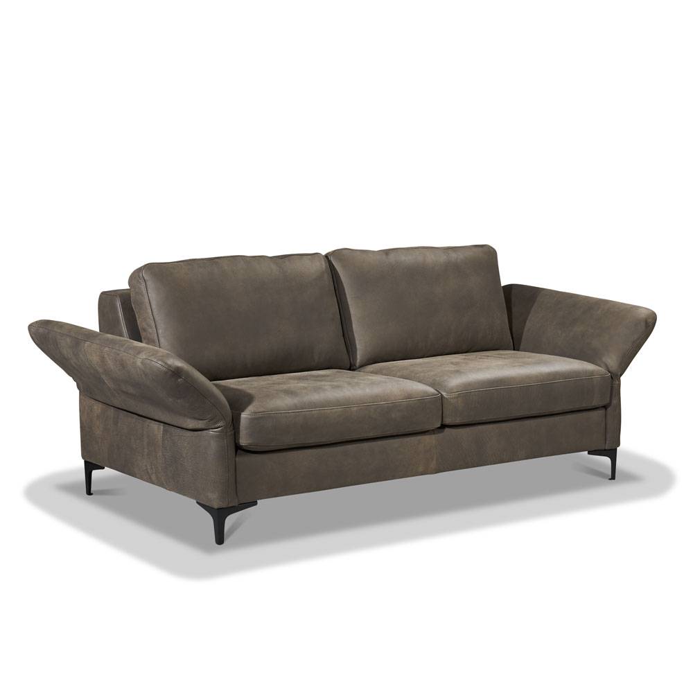 Schöner Wohnen Kollektion Einzelsofa Timeless Fabrik Onlineshop