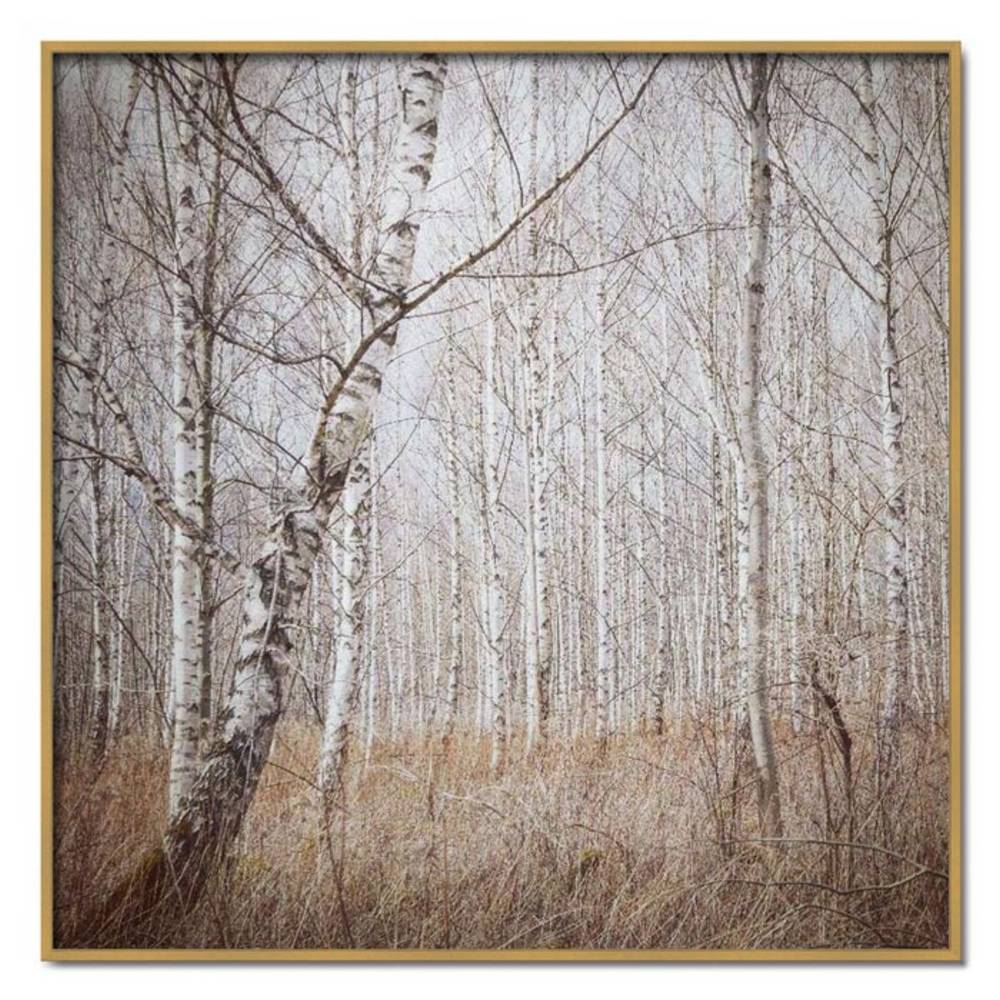 Schöner Wohnen Kollektion Gerahmter Kunstdruck 'Birkenwald' von Renate Wasinger