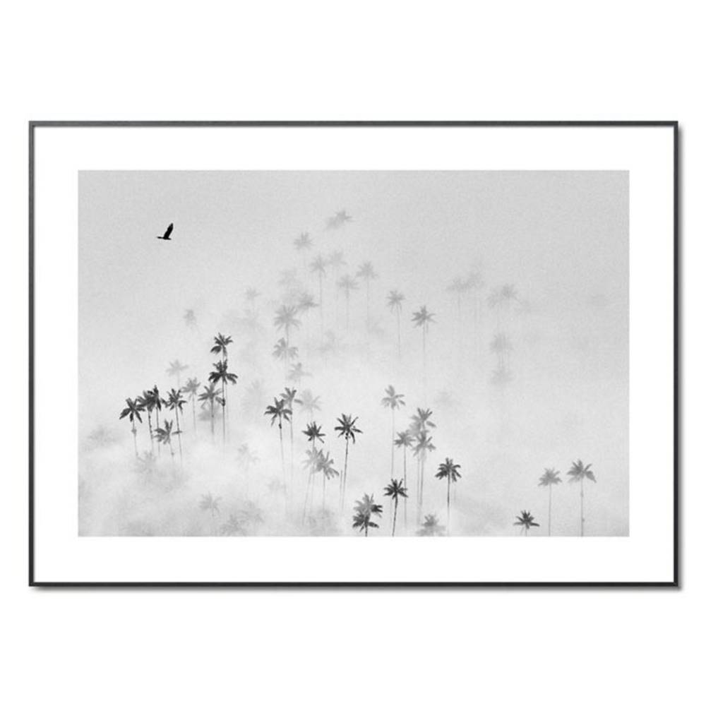 Schöner Wohnen Kollektion Gerahmter Kunstdruck 'Cocora Valley' von Alexey Malashin