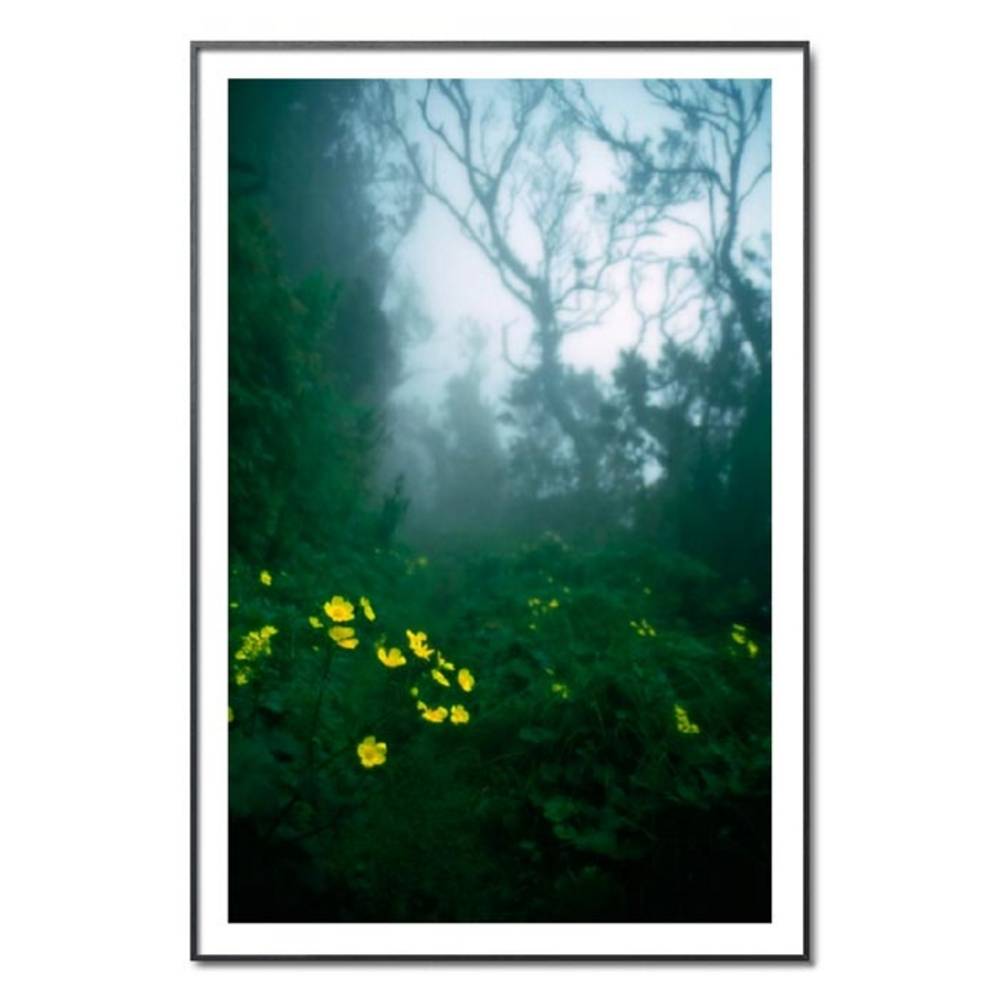 Schöner Wohnen Kollektion Gerahmter Kunstdruck 'foggy' von Wolfgang Simlinger