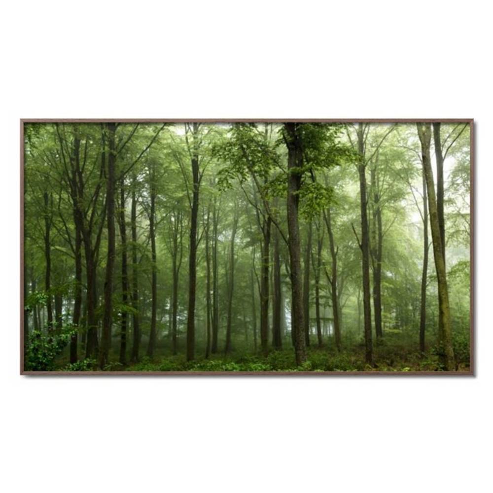 Schöner Wohnen Kollektion Gerahmter Kunstdruck 'Forest ' von Leif Landal
