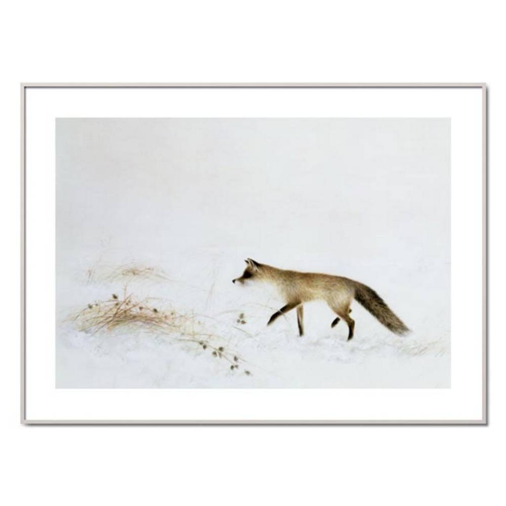 Schöner Wohnen Kollektion Gerahmter Kunstdruck 'Fox in Snow' von Jane Neville