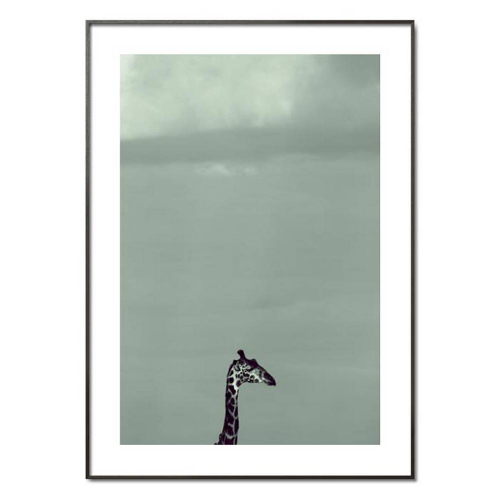 Schöner Wohnen Kollektion Gerahmter Kunstdruck 'Giraffe' von Lucas Martin