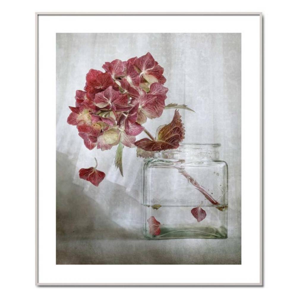 Schöner Wohnen Kollektion Gerahmter Kunstdruck 'Hydrangea' von Mandy Disher