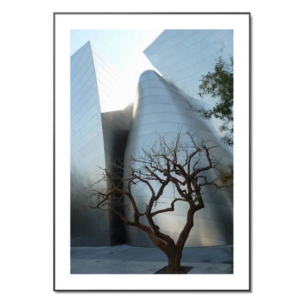Schöner Wohnen Kollektion Gerahmter Kunstdruck 'Los Angeles Disney Concert Hall.' von Joachim W. Dettmer