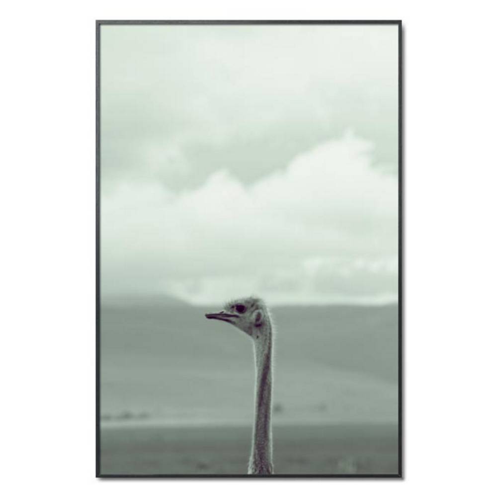 Schöner Wohnen Kollektion Gerahmter Kunstdruck 'Ostrich' von Lucas Martin